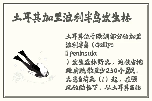 得得啪在线